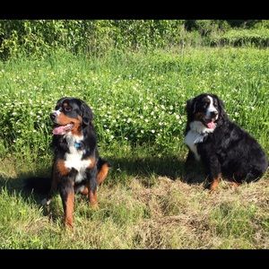 Meet your Posher, Cherica