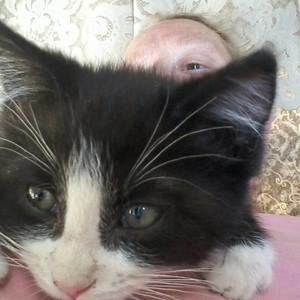 Meet your Posher, Jane