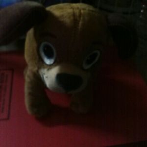 Meet your Posher, Nicki