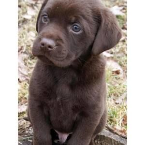 Meet your Posher, Laurie