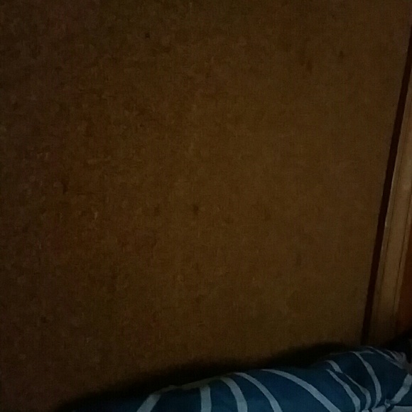 Meet your Posher, Dashawn - Picture 1 of 1