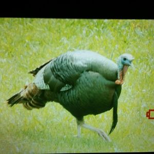 Meet your Posher, Josh