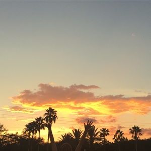 Meet your Posher, Kyleigh