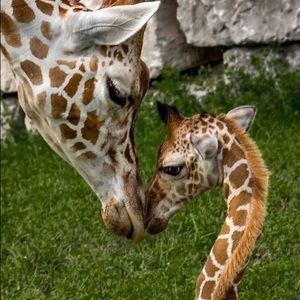 Meet your Posher, Jill