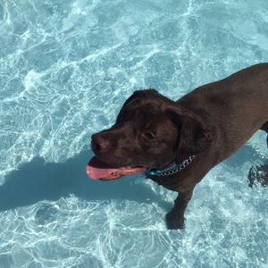 Meet your Posher, Colin