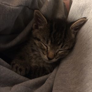 Meet your Posher, Katie