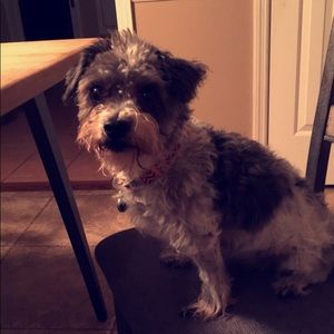 Meet your Posher, Jan