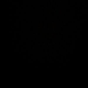 Meet your Posher, Marlene