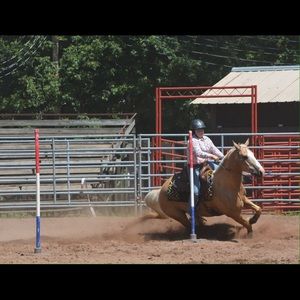 Meet your Posher, Annie