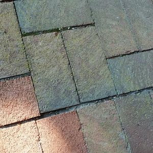 Meet your Posher, Jenn