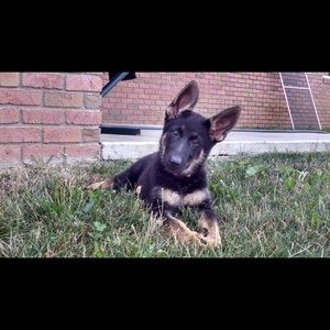 Meet your Posher, Lee