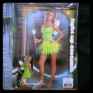 Light up fairy Halloween Costume