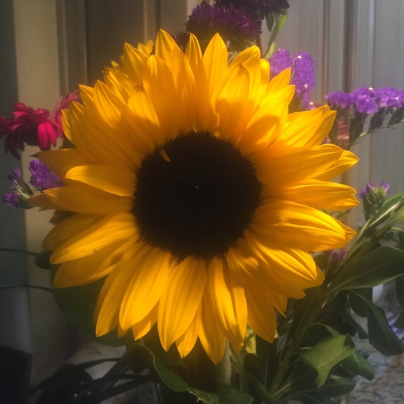 Meet your Posher, Denise