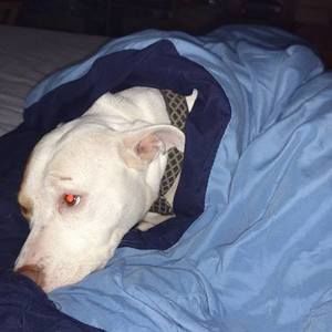 Meet your Posher, Ellen