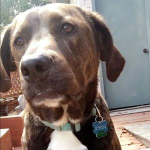 Meet your Posher, Casey