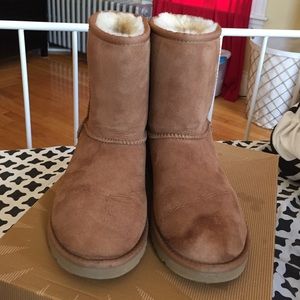Chestnut Uggs