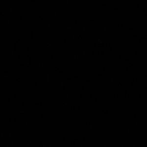 Meet your Posher, Dolores