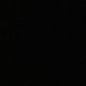 Meet your Posher, Manuela