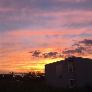 Meet your Posher, Diana