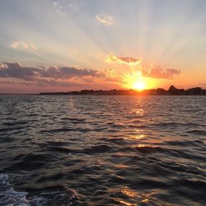 Meet your Posher, Patty