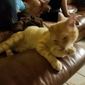 Meet your Posher, Roxanne