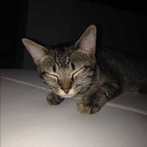 Meet your Posher, Melanie