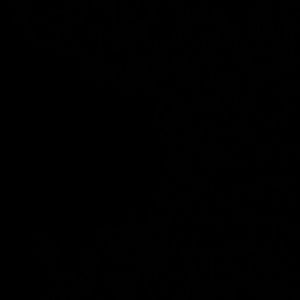 Meet your Posher, Hugo