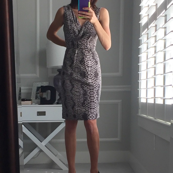 Banana Republic Silk Sheath Dress