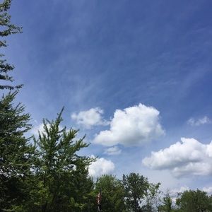 Meet your Posher, Audra