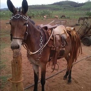 Meet your Posher, Kyle