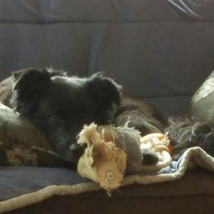 Meet your Posher, Toni