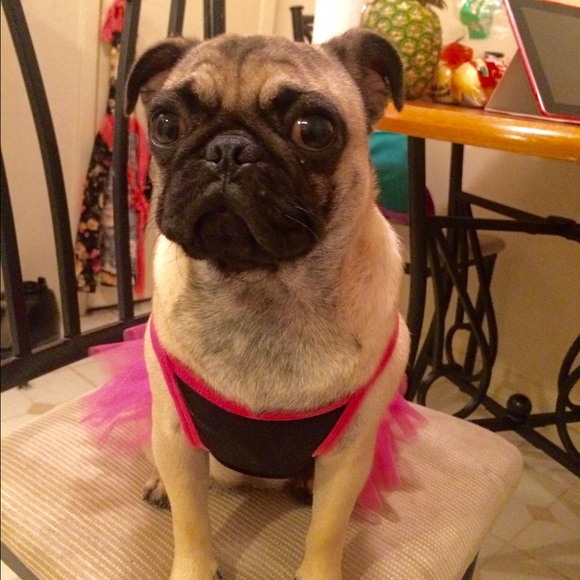 Meet your Posher, Ajeet - Picture 1 of 1