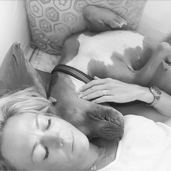 Meet your Posher, Lauren - Picture 7 of 8