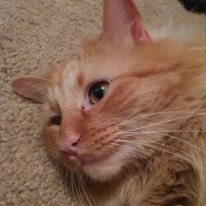 Meet your Posher, Kymberlie