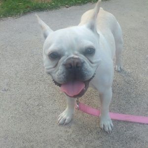 Meet your Posher, Kelly