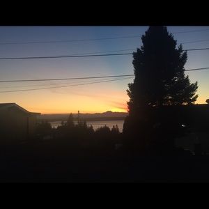 Meet your Posher, Maya