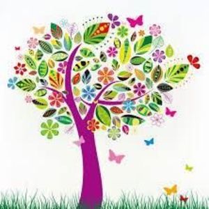 Meet your Posher, Janea