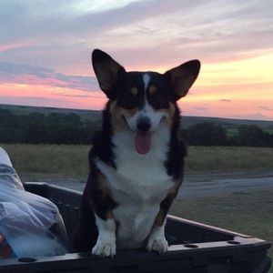 Meet your Posher, Abby