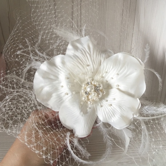 Beautiful bird cage veil