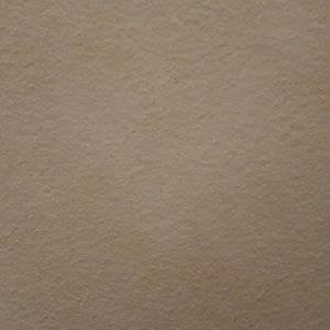 Meet your Posher, Misha