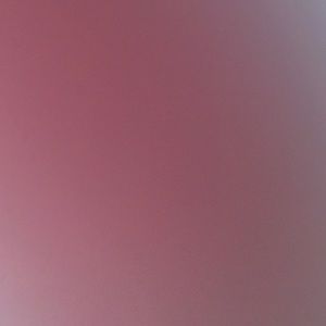 Meet your Posher, Shawnna