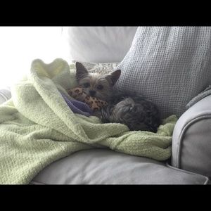 Meet your Posher, Cheryl