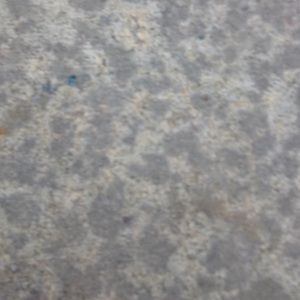 Meet your Posher, Shane