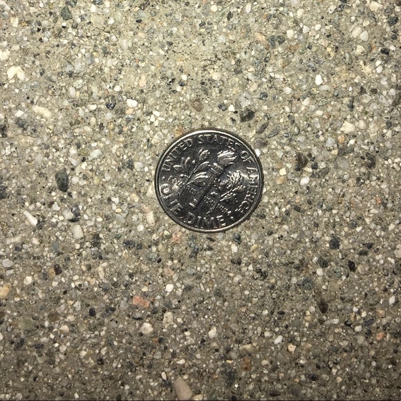 Meet your Posher, Rose - Picture 6 of 6