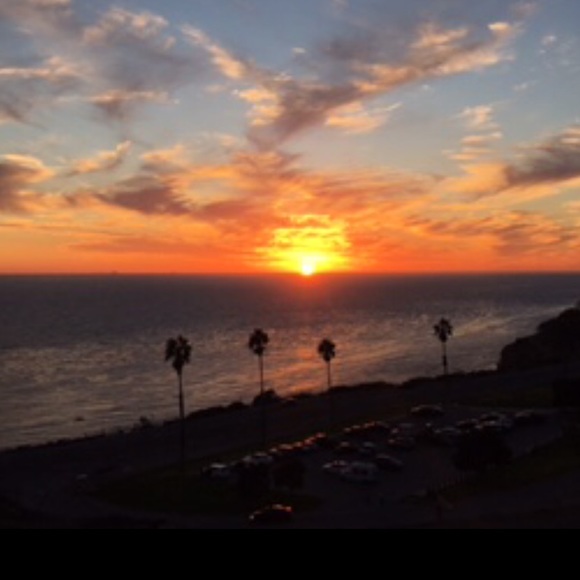 Meet your Posher, Rose - Picture 4 of 6