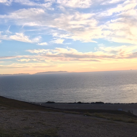 Meet your Posher, Rose - Picture 3 of 6