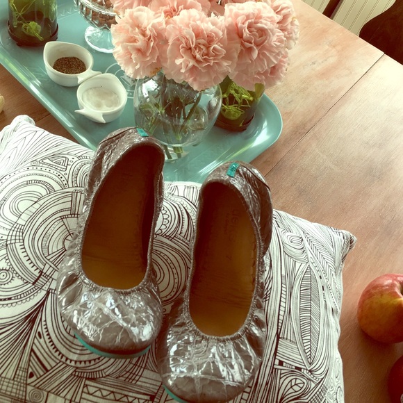 Slate Grey Croc Tieks