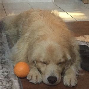 Meet your Posher, Carol