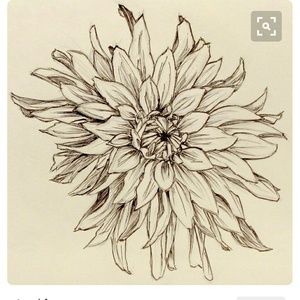 Meet your Posher, Joy