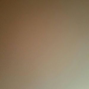 Meet your Posher, Simone